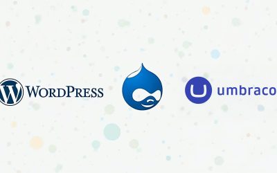 WordPress vs. Drupal vs. Umbraco: Which CMS Is Best for Your Business?