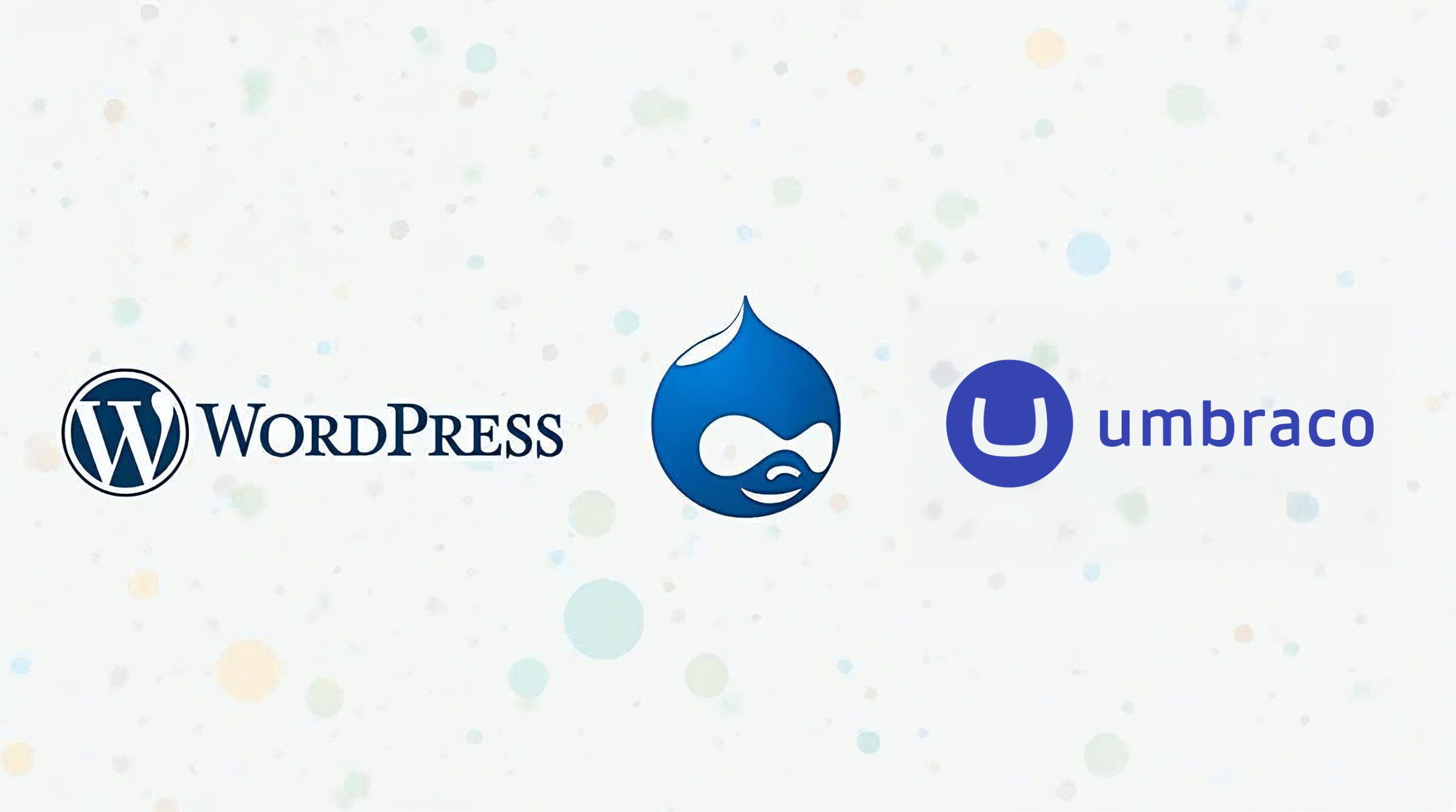 illustration of wordpress drupal and umbraco cms l 1742572938